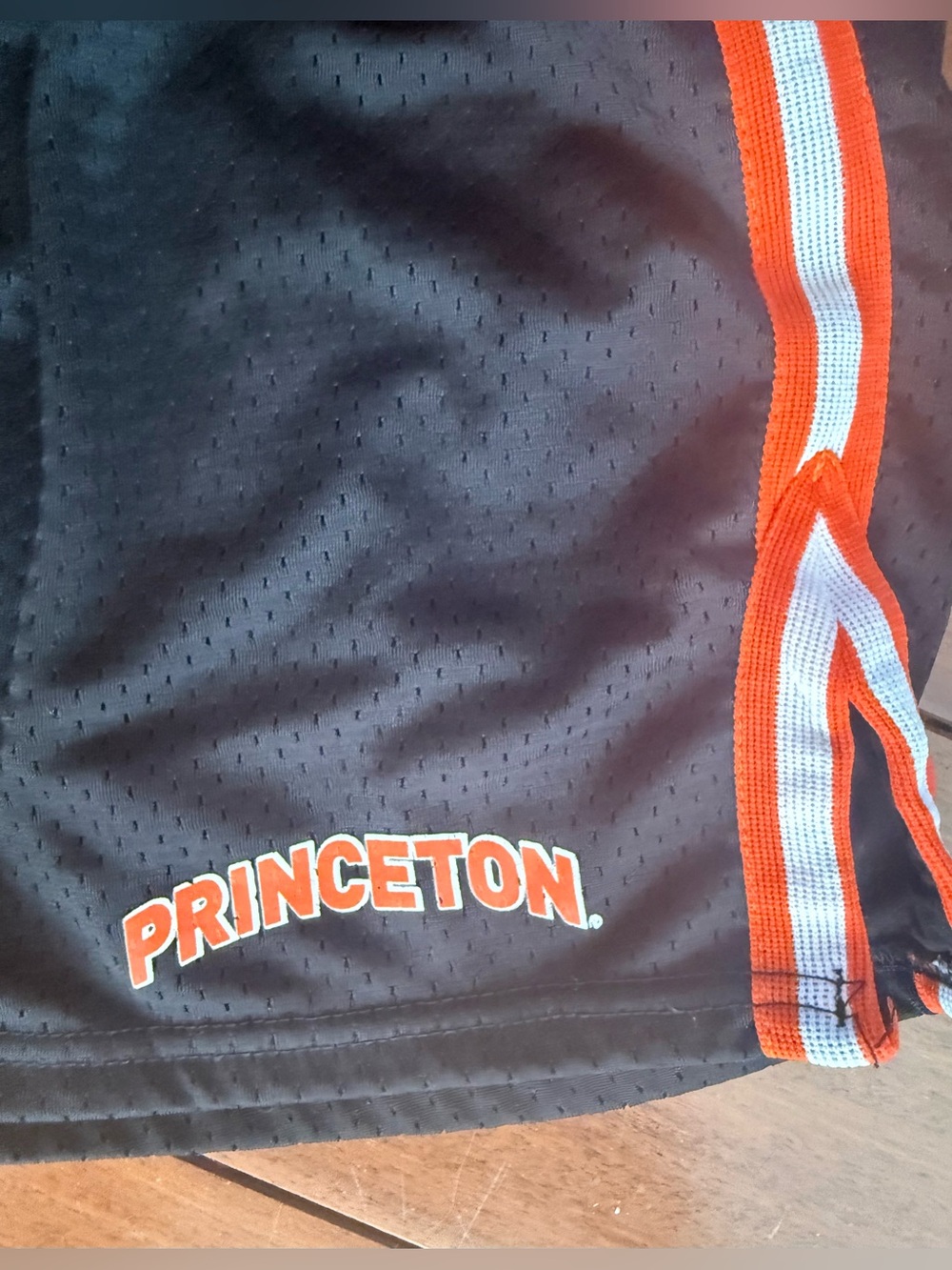 Vintage Princeton Collegiate Shorts